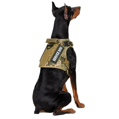 Recon Harness & Tactical Set