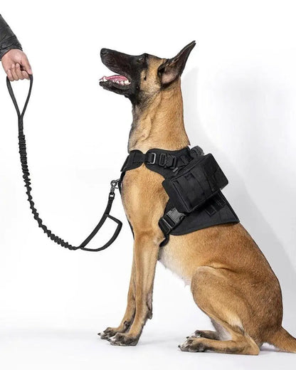 Recon Harness & Tactical Set