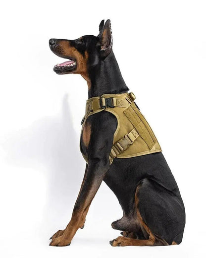 Recon Harness & Tactical Set