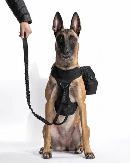 Recon Harness & Tactical Set