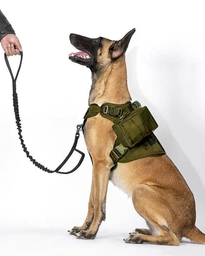 Recon Harness & Tactical Set