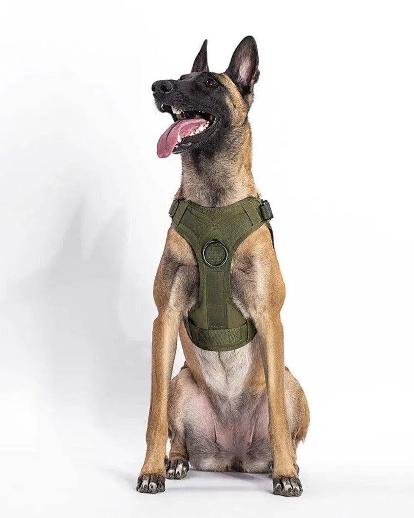 Recon Harness & Tactical Set