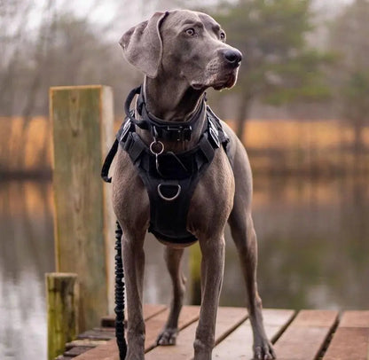 Recon Harness & Tactical Set