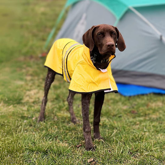 Stormshiled Rain Jacket
