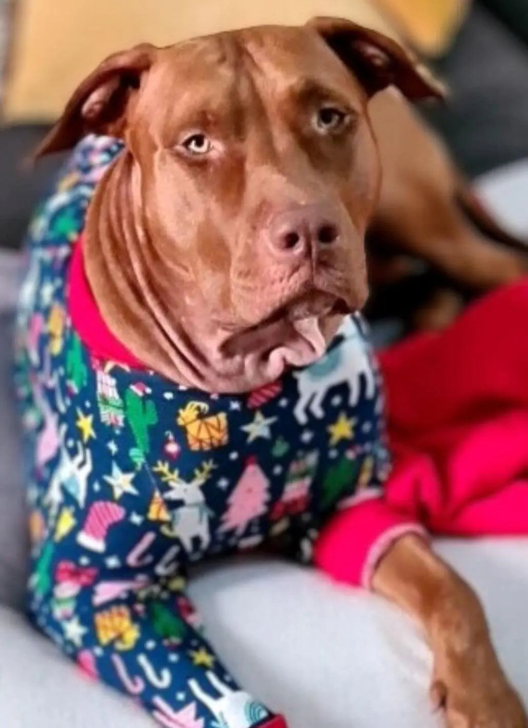 Cozy Fleece Pajamas
