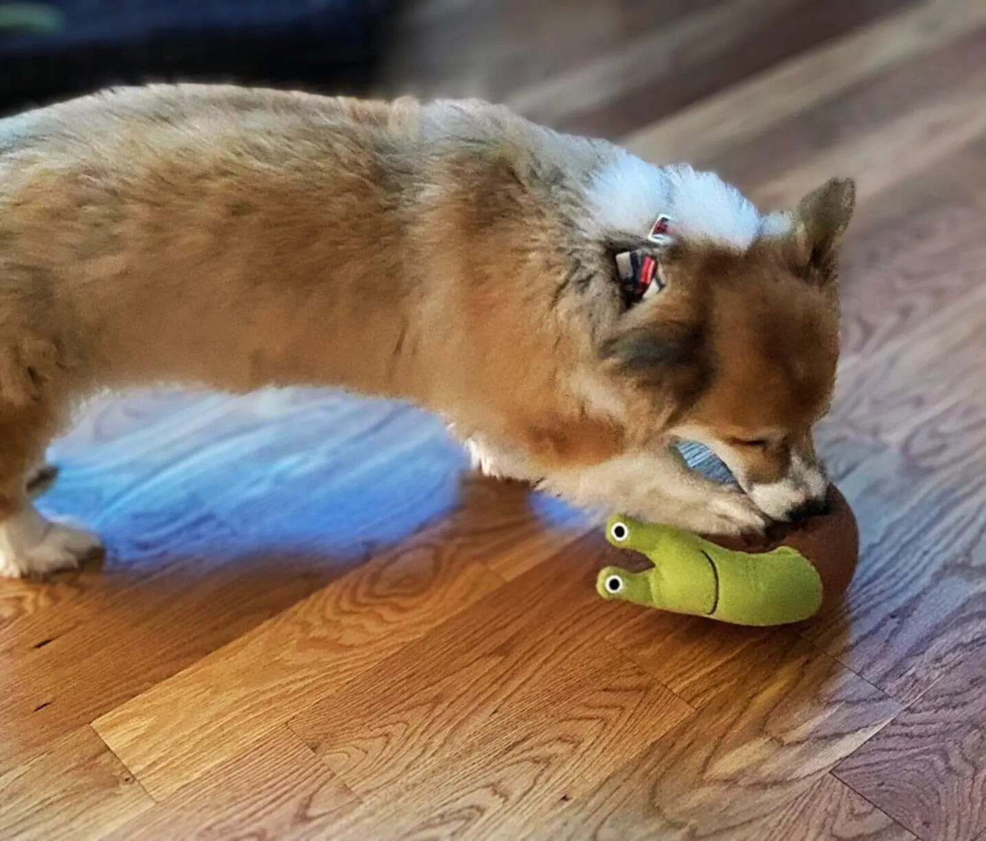 The Magic Snail Snuffle Toy
