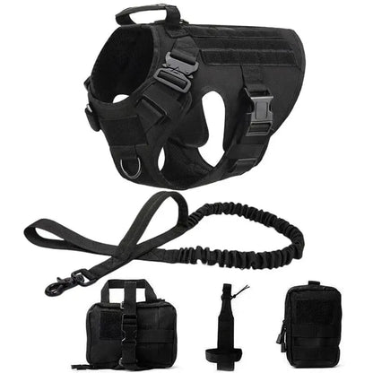 Recon Harness & Tactical Set